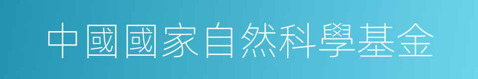 中國國家自然科學基金的同義詞