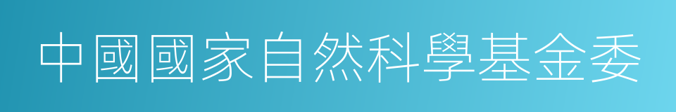 中國國家自然科學基金委的同義詞
