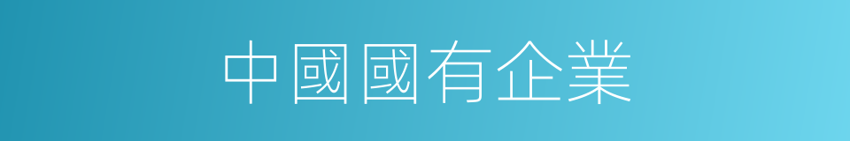中國國有企業的同義詞