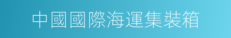 中國國際海運集裝箱的同義詞