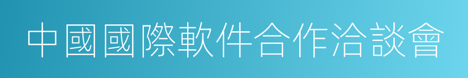 中國國際軟件合作洽談會的同義詞