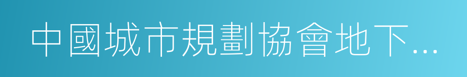 中國城市規劃協會地下管線專業委員會的同義詞