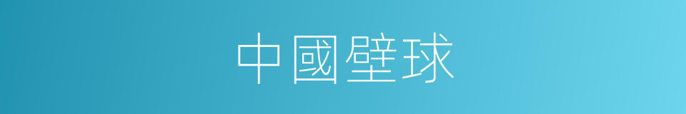 中國壁球的同義詞