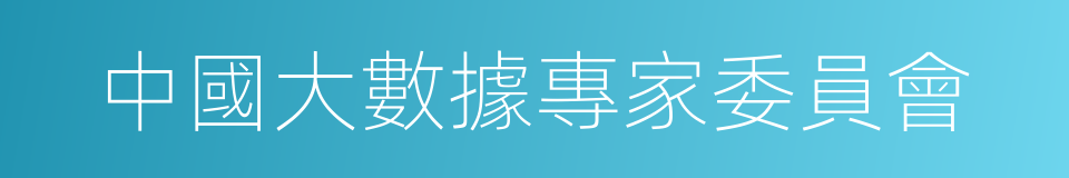 中國大數據專家委員會的同義詞