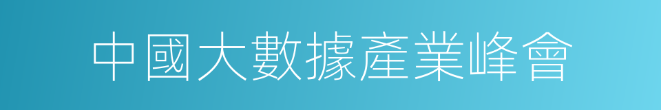 中國大數據產業峰會的同義詞