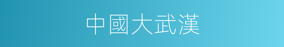 中國大武漢的同義詞