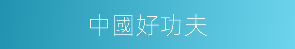 中國好功夫的同義詞