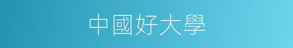 中國好大學的同義詞