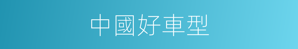 中國好車型的同義詞