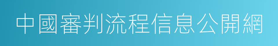 中國審判流程信息公開網的同義詞