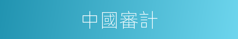 中國審計的同義詞