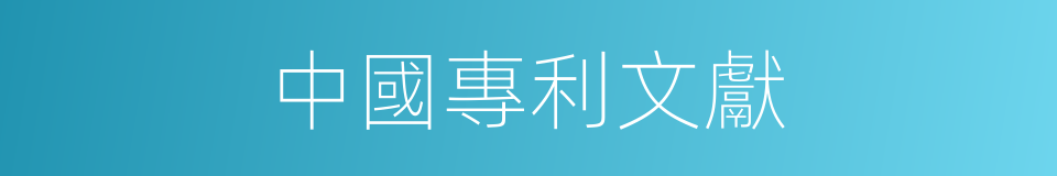 中國專利文獻的同義詞