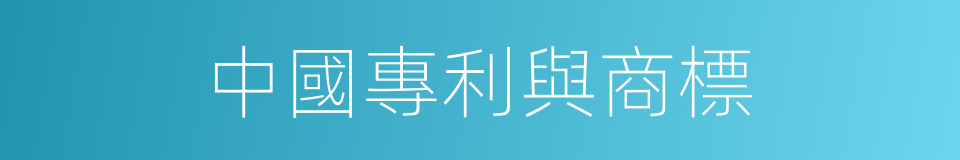 中國專利與商標的同義詞