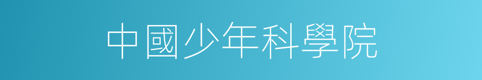 中國少年科學院的同義詞