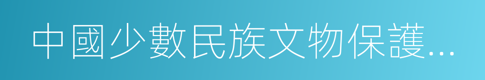 中國少數民族文物保護協會的同義詞