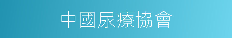 中國尿療協會的同義詞