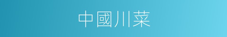 中國川菜的同義詞