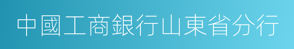 中國工商銀行山東省分行的同義詞