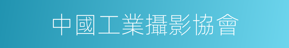 中國工業攝影協會的同義詞