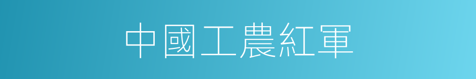 中國工農紅軍的意思