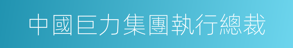 中國巨力集團執行總裁的同義詞