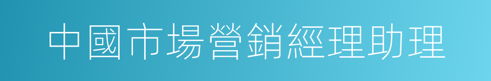 中國市場營銷經理助理的同義詞