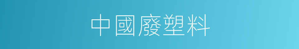 中國廢塑料的同義詞