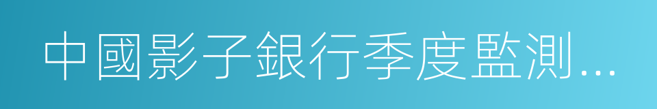 中國影子銀行季度監測報告的同義詞