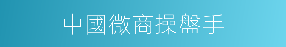 中國微商操盤手的同義詞