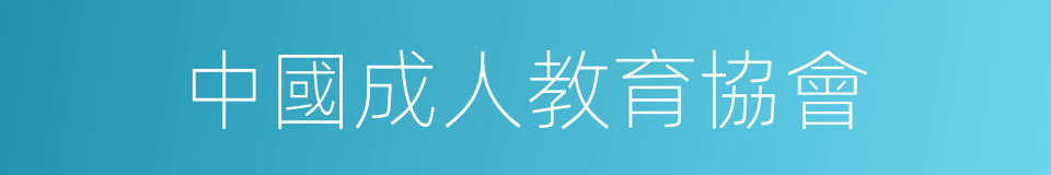 中國成人教育協會的同義詞