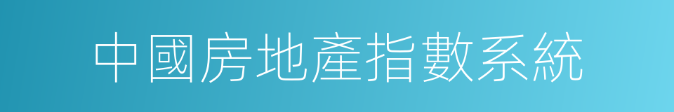 中國房地產指數系統的同義詞