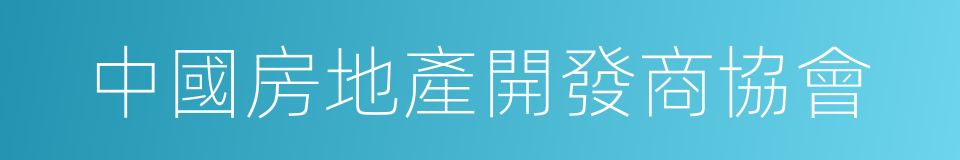 中國房地產開發商協會的同義詞