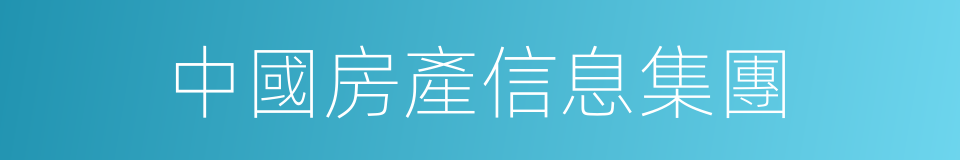 中國房產信息集團的同義詞