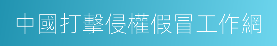 中國打擊侵權假冒工作網的同義詞