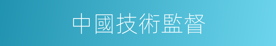中國技術監督的同義詞