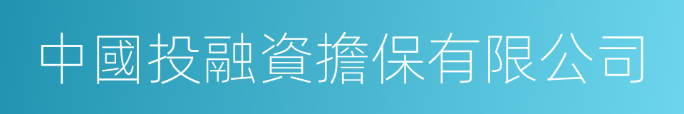 中國投融資擔保有限公司的同義詞