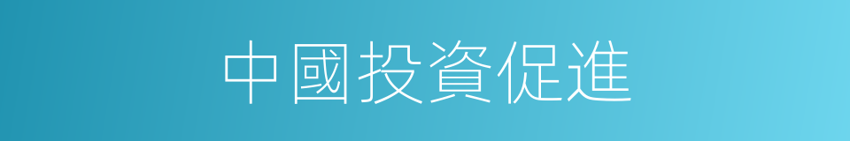 中國投資促進的同義詞