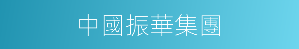 中國振華集團的同義詞