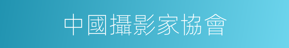 中國攝影家協會的同義詞