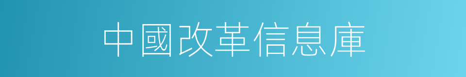 中國改革信息庫的同義詞