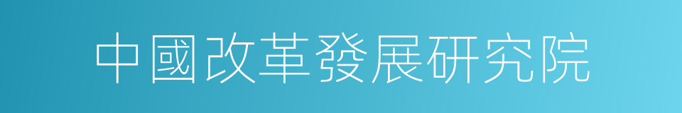 中國改革發展研究院的同義詞