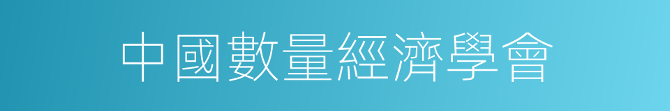 中國數量經濟學會的同義詞