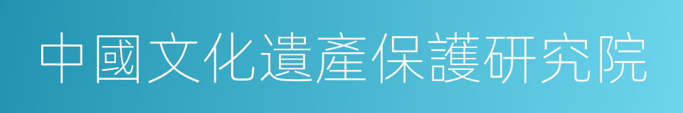 中國文化遺產保護研究院的同義詞