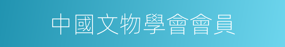 中國文物學會會員的同義詞