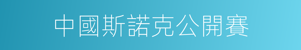 中國斯諾克公開賽的同義詞
