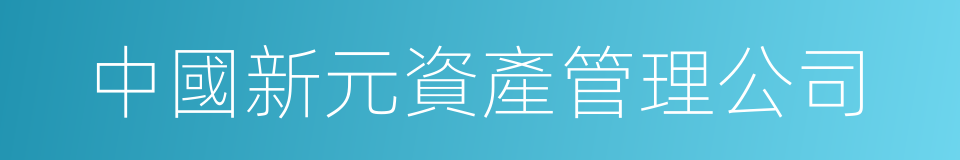 中國新元資產管理公司的同義詞
