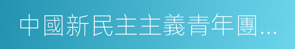 中國新民主主義青年團第一次全國代表大會的同義詞