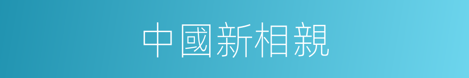 中國新相親的同義詞