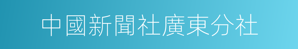 中國新聞社廣東分社的同義詞