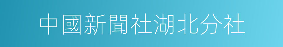 中國新聞社湖北分社的同義詞